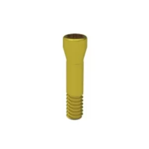XL NC/RC Conecting Screw M1,6 torx EK