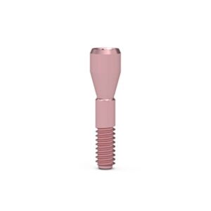 ICX 3,3 Connection Screw